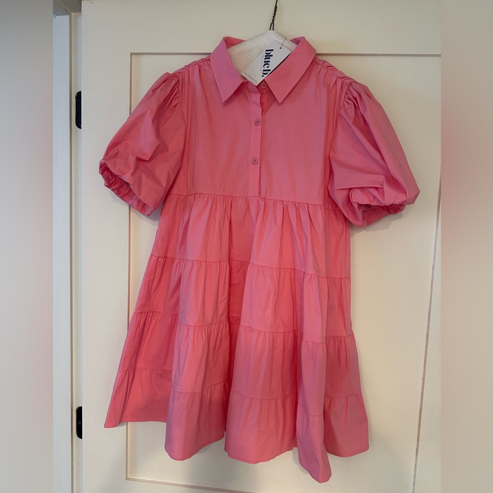 NWT Mini dress from Fox and Hen